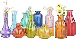 Eleganttime Bud Vases for Flowers,Glass Colored Bud Vase in Bulk Set of ...