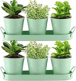 Hicarer 2 Sets Herb Planter with Tray Metal Herb Garden Planter with Dra...