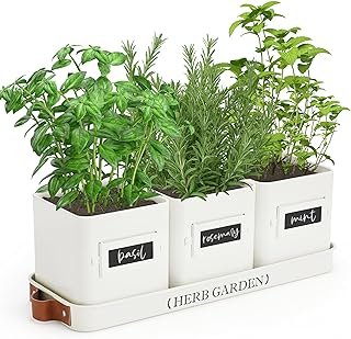 PERFNIQUE Indoor Herb Garden, Herb Planter Set with Tray, Farmhouse Indo...