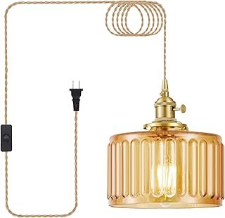 Plug in Pendant Light, Hanging Lights with Plug in Cord, Hanging Light F...