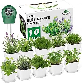 Herb Garden Kit Indoor Herb Garden Starter Kit - 10 Kitchen Herbs Seeds ...