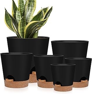 Indoor Self Watering Planters with Drainage Holes and Saucers, 8, 7, 6.5...