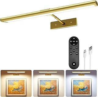 EZVALO Picture Light for Wall, 16'' Rechargeable 4800mAh Battery Lights ...