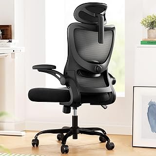Marsail Ergonomic Office Chair: Office Computer Desk Chair with High Bac...