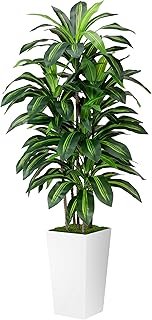Artificial Dracaena Plant Indoor 5FT - Fake Tree with White Tall Planter...
