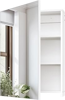 Wall-Mounted Bathroom Vanity with Mirror, Medicine Cabinet with Storage ...