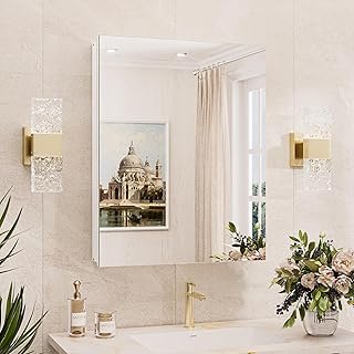 TokeShimi 20x26 Medicine Cabinet Mirror with Storage Tempered, Aluminum ...