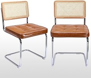 Zesthouse Natural Rattan Dining Chairs Set of 2, Modern Dining Room Chai...