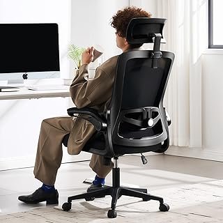 Fizzin Ergonomic Office Chair, 400 LBS Computer Chairs with Adjustable L...