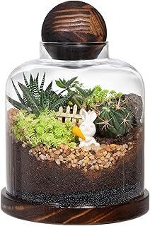 Yangbaga Large Glass Terrarium Succulent Plant Terrarium House for Plant...