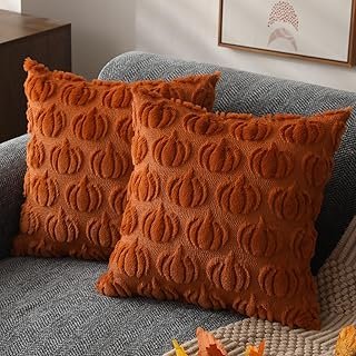 DFXSZ Fall Pillow Covers 18x18 Set of 2 Fall Decorations Autumn Rust Pum...