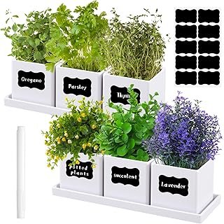 6 Pcs Herb Garden Planter Set Herb Garden Kit Indoor Plastic Plant Pots ...