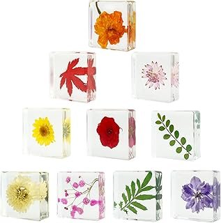 10PCS Dried Flower Paperweight Pressed Flower Paper Weight Real Resin Cr...