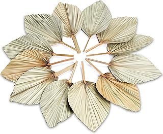 AVLA 12 Pack Boho Large Natural Palm Fans, Tropical Dried Palm Spear wit...