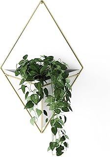 Umbra Trigg Hanging Planter Vase & Geometric Wall Decor Container - Grea...