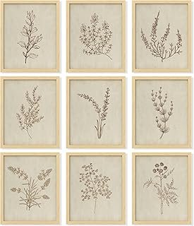 97 Decor Botanical Wall Art - Vintage Botanical Prints, Plant Art Wall D...