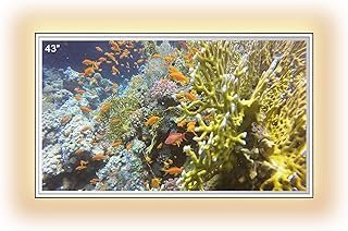 elecsung 43inch Bathroom Mirror TV with LED Light, 4K Ultra HD Modern Va...