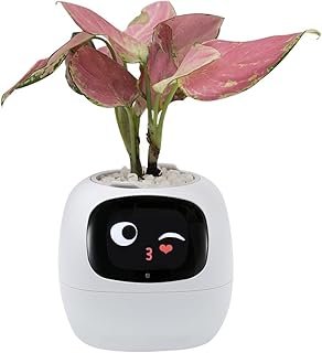 Smart Plant Pot with Expression, AI Intelligent Flower Pot for Indoor De...